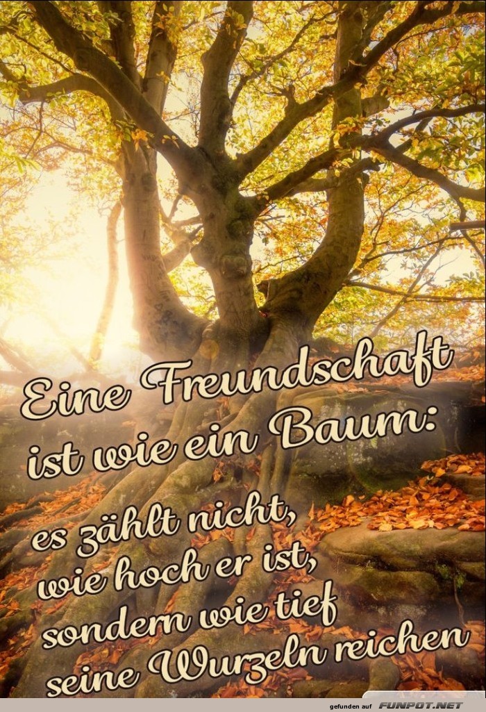 Eine Freundschaft ist wie ein Baum