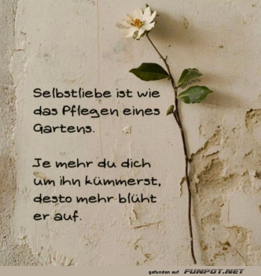 Selbstliebe