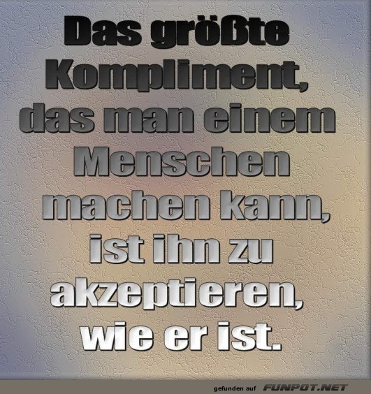 Das grte Kompliment