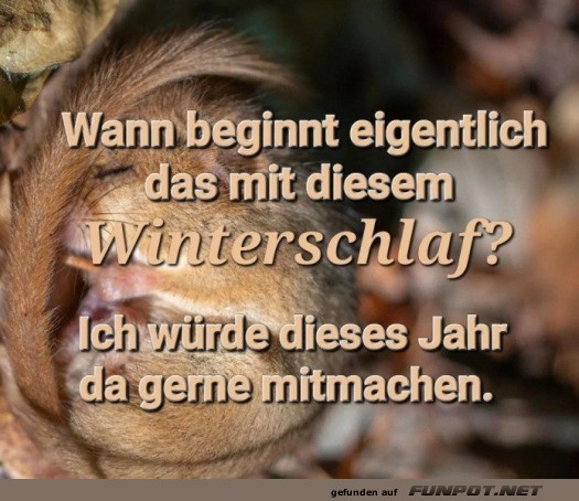 Winterschlaf