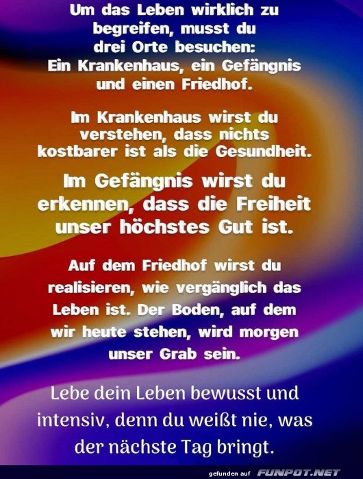 Das Leben begreifen