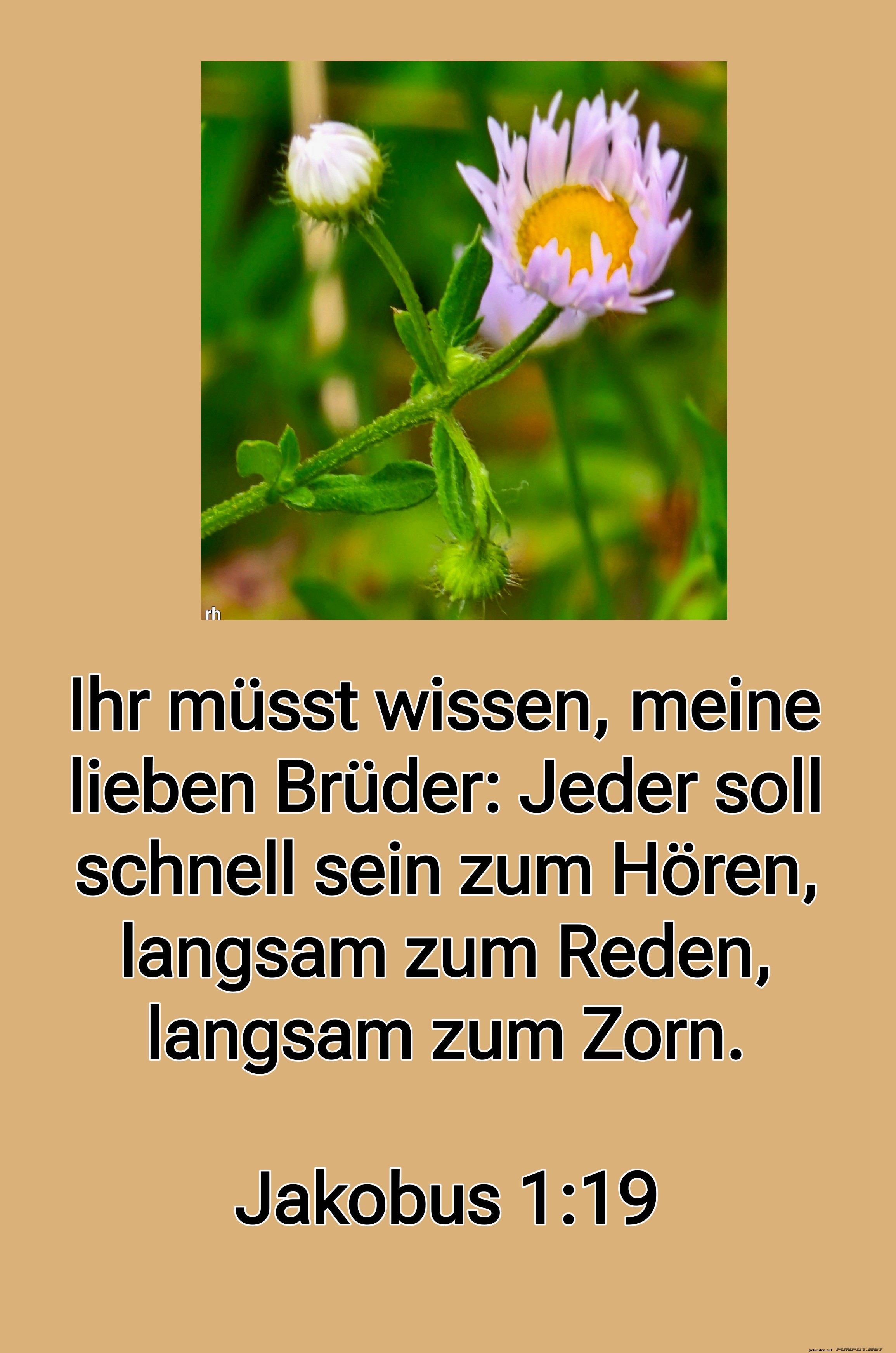 ihr müsst wissen ihr müsst wissen