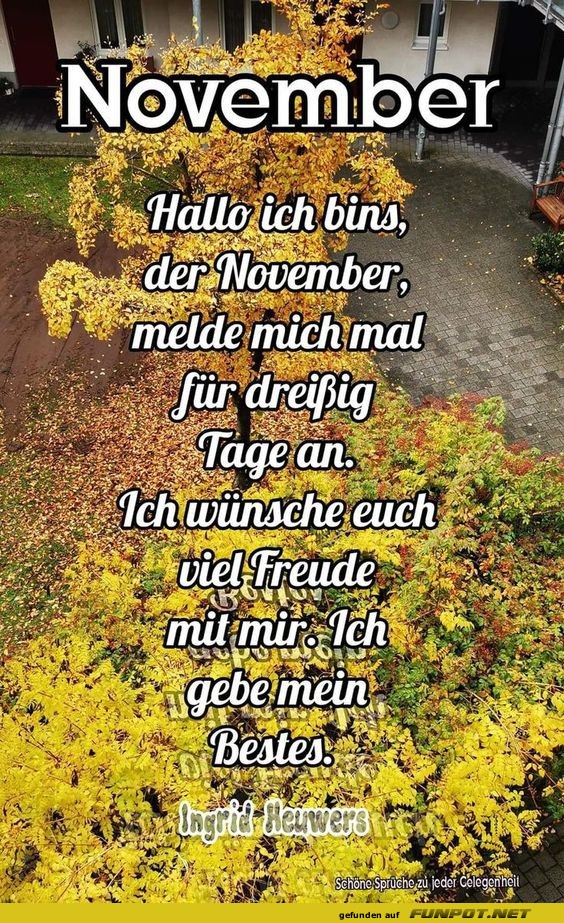 November