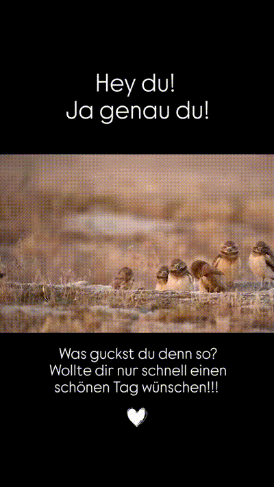 witzige animierte Bilder aus verschiedenen Blogs