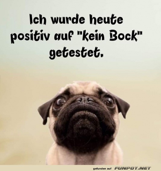 Kein Bock