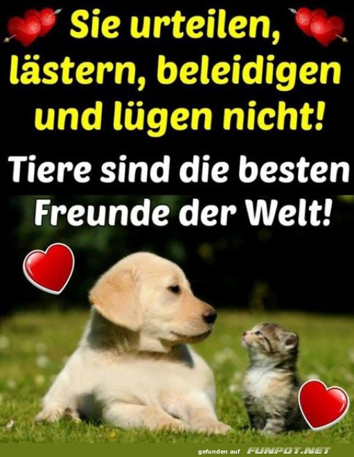 Tiere sind die besten Freunde