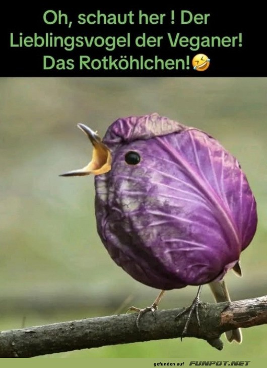 Lieblingsvogel der Veganer