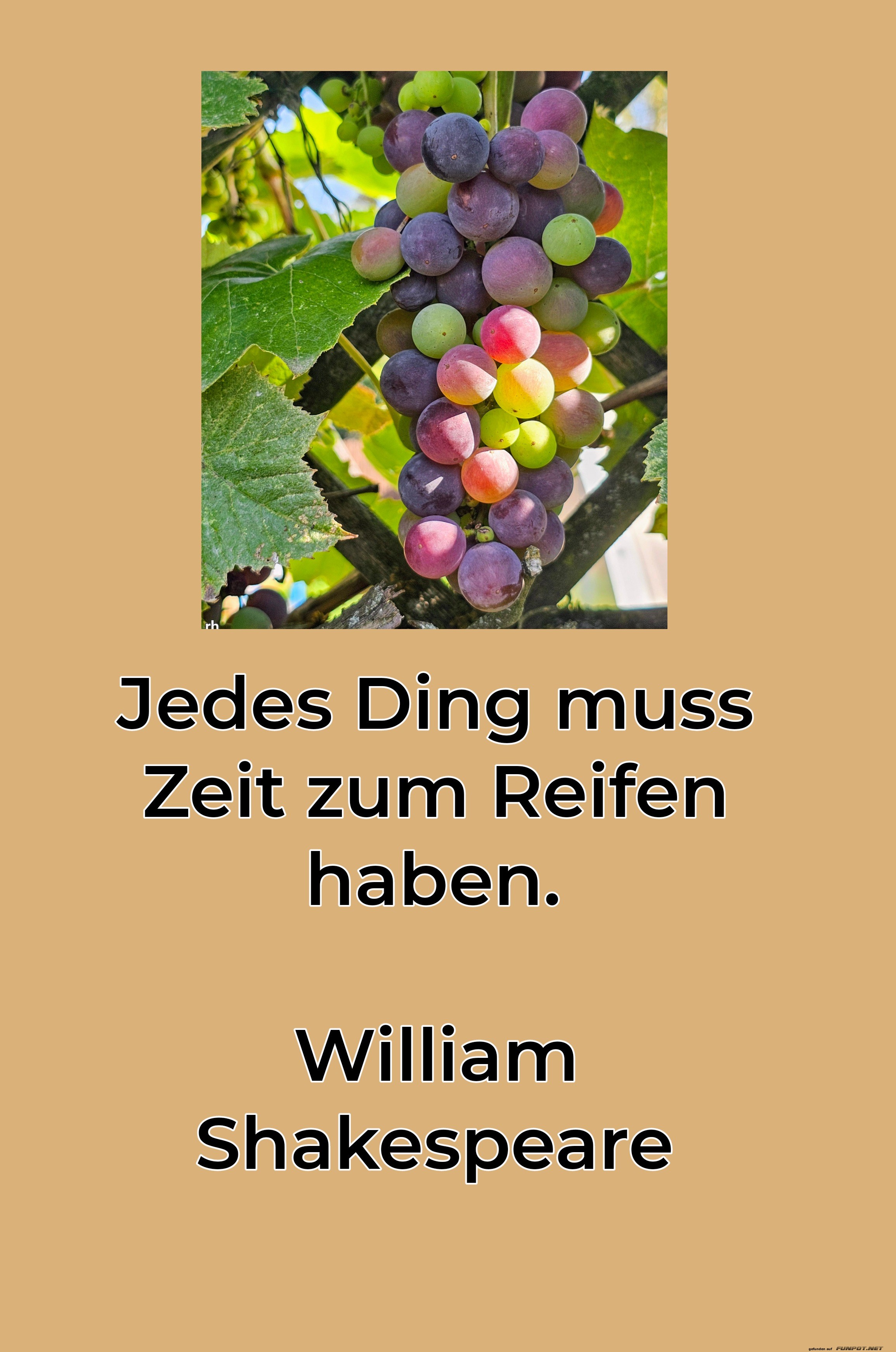 jedes ding muss zeit