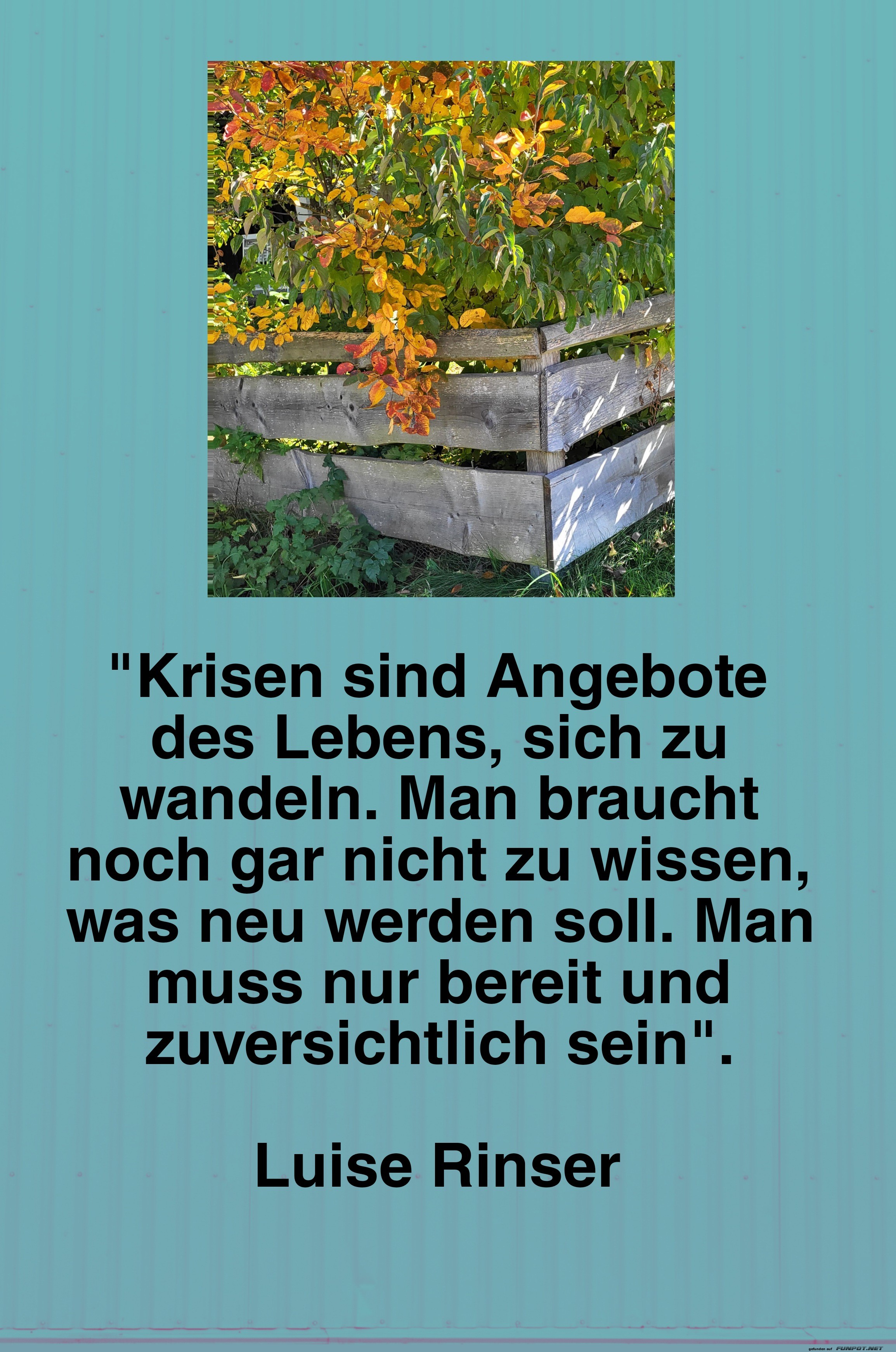 krisen sind angebote