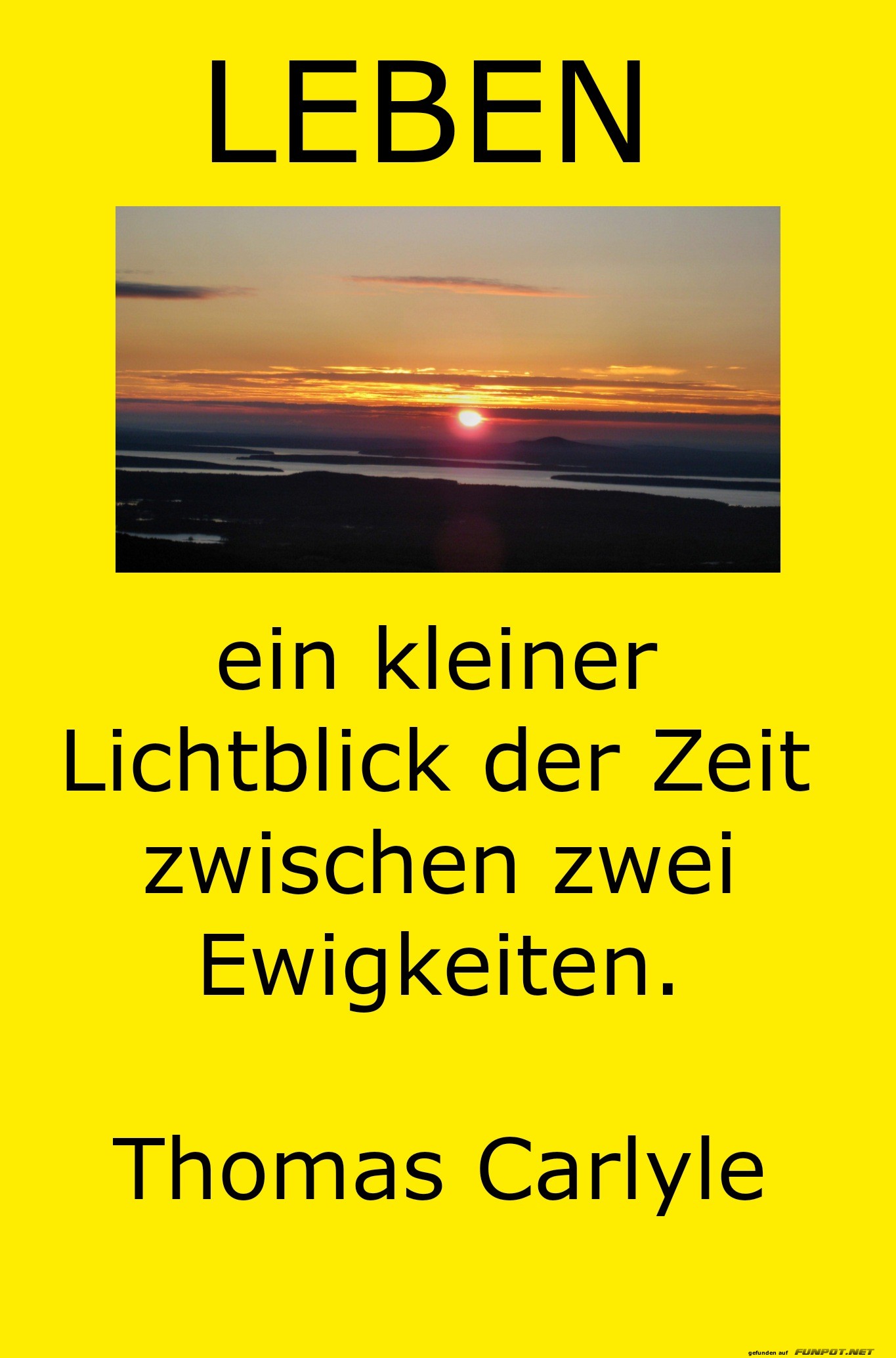 leben, ein kleiner lichtblick