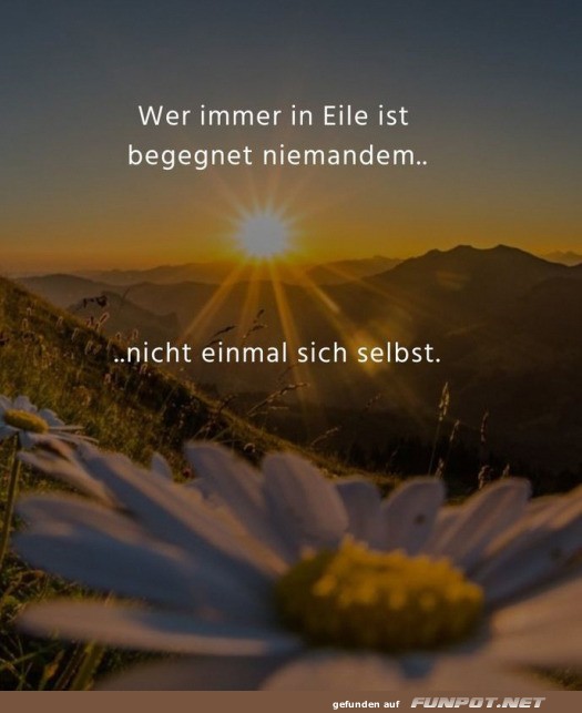 Wer immer in Eile ist