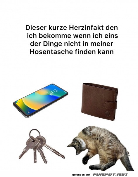 Dieser kurze Herzinfarkt