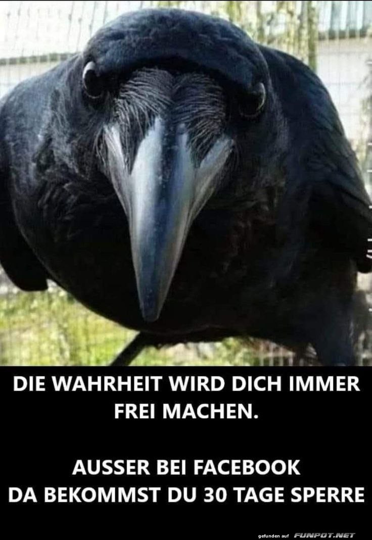 Da ist was dran