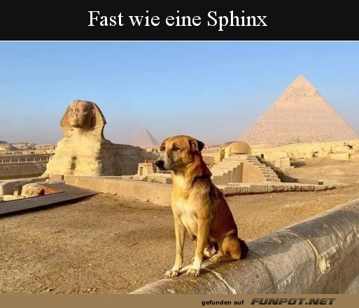 Wie eine Sphinx