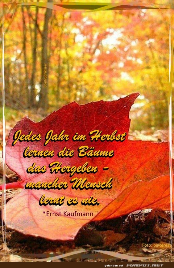 Jedes Jahr im Herbst