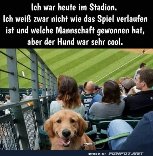 Der Hund war cool