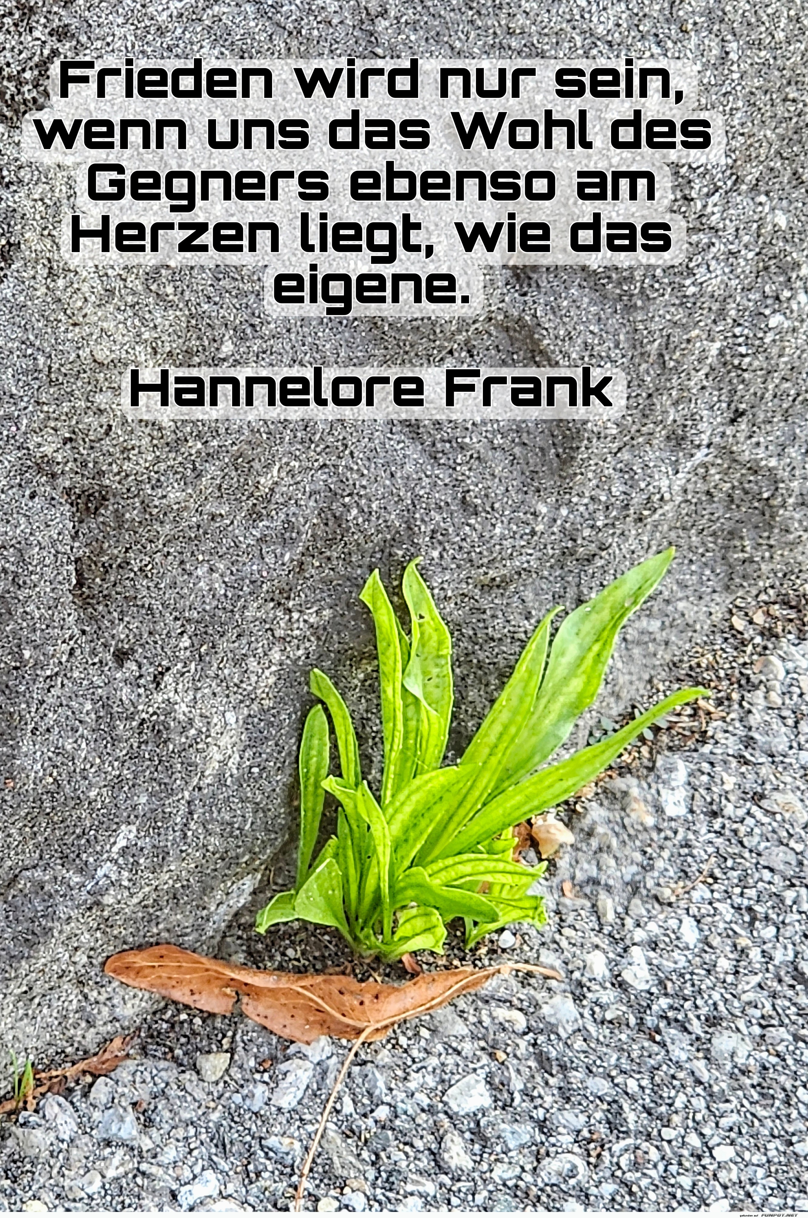 frieden wird nur sein