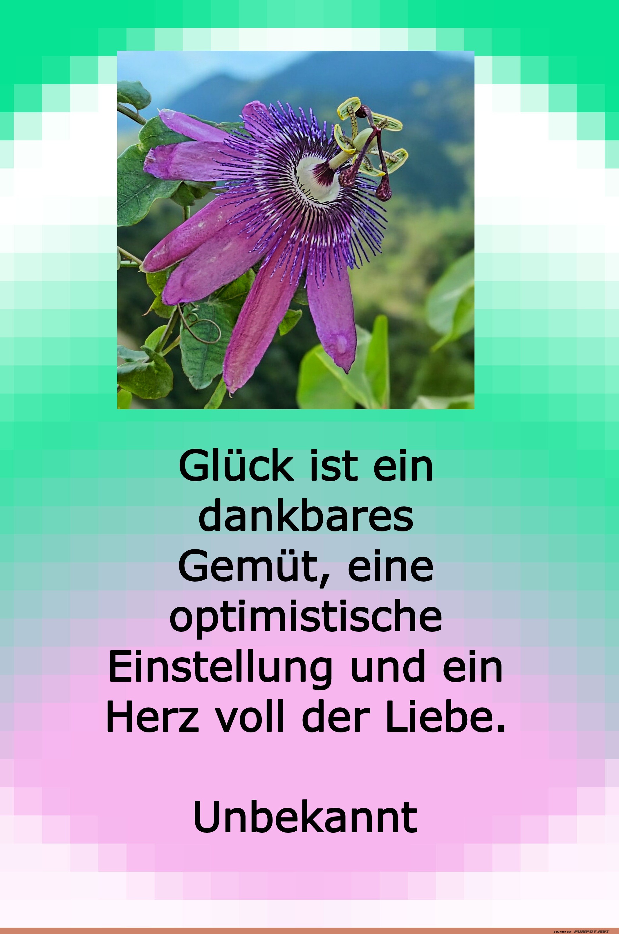 glck ist ein dankbares gemt