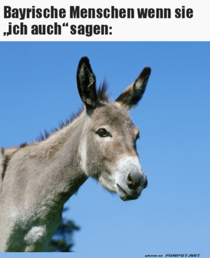 Ich auch