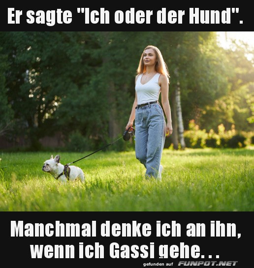 Ich oder der Hund