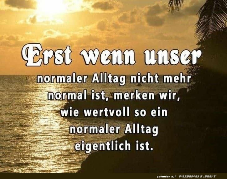 Der normale Alltag Der normale Alltag
