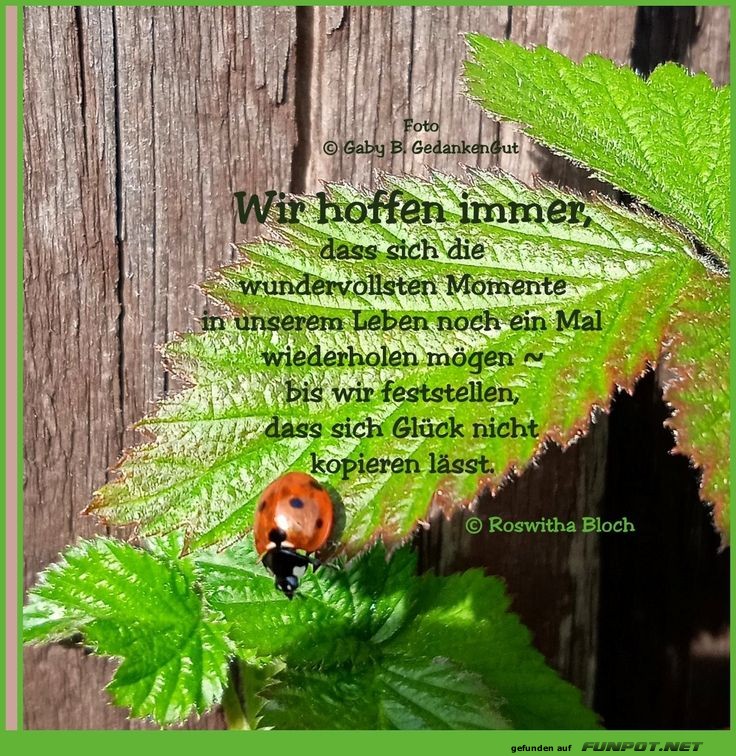 Wir Hoffen Auf Ihr Verständnis herziges Bild 'Wir hoffen immer' - FUNPOT