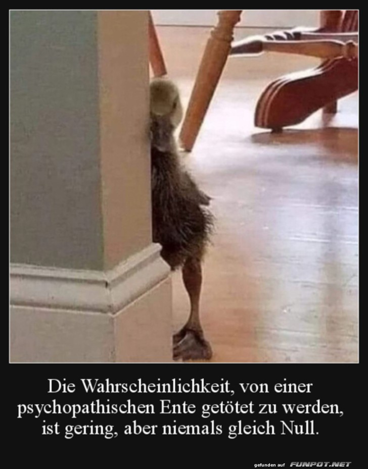 Gefhrliche Ente