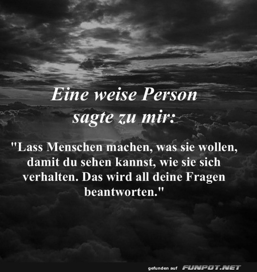 Eine weise Person