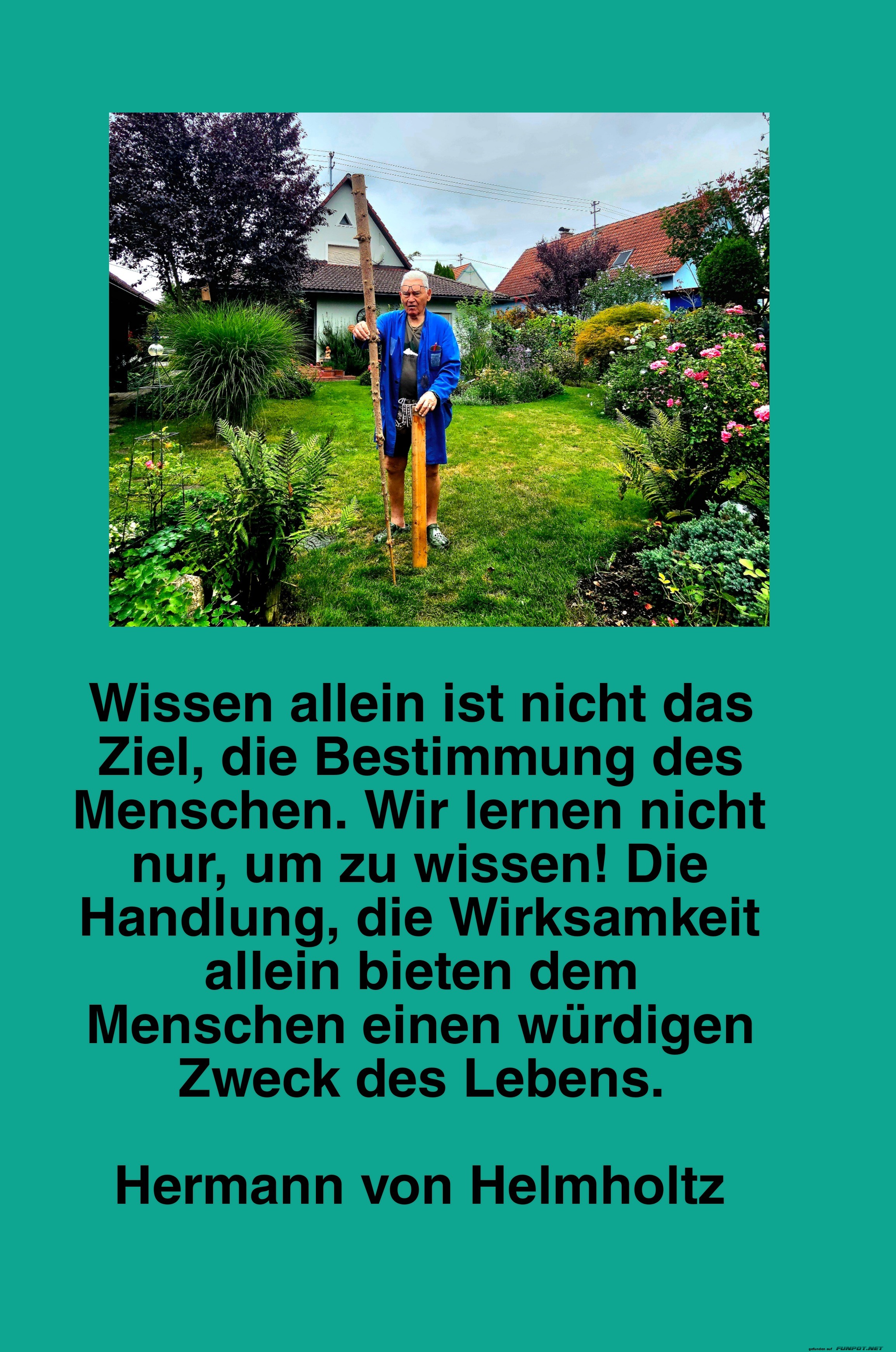 wissen allein ist nicht