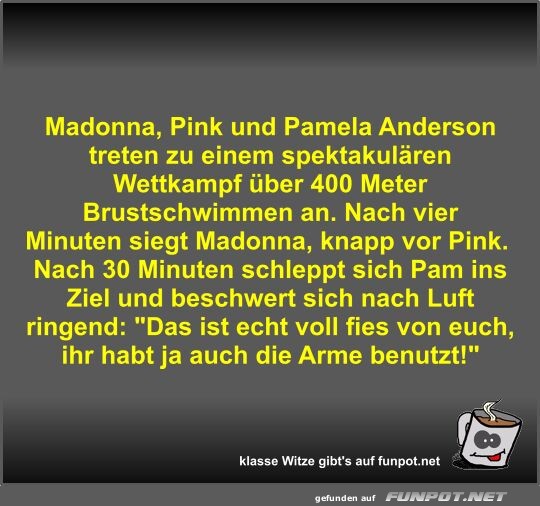 Madonna, Pink und Pamela Anderson treten zu einem...