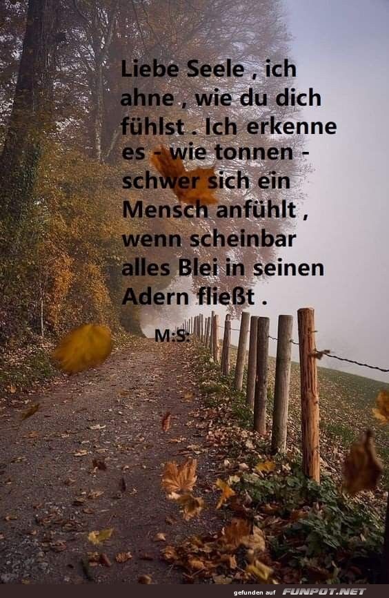 Liebe Seele