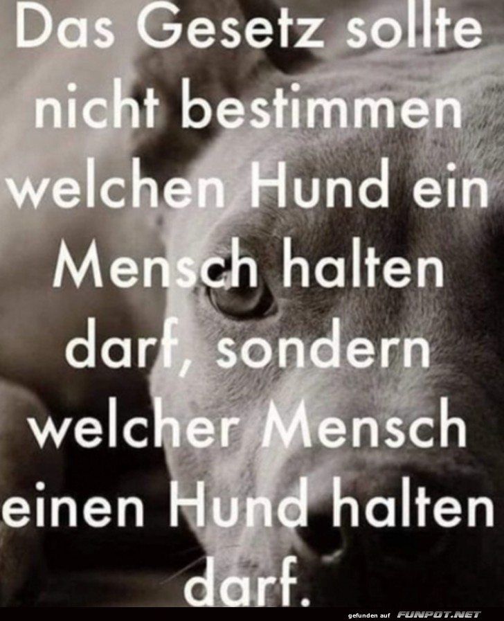 So ist es