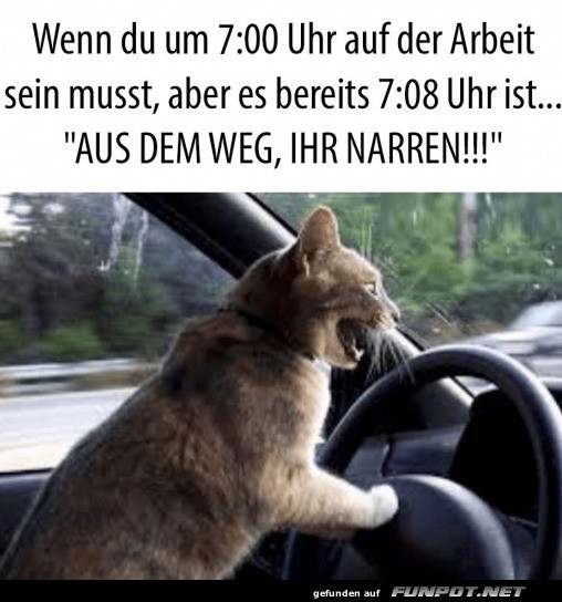 Aus dem Weg