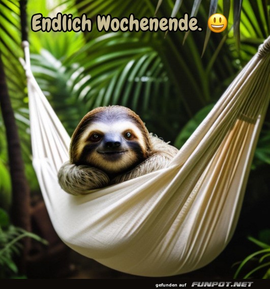 Endlich Wochenende