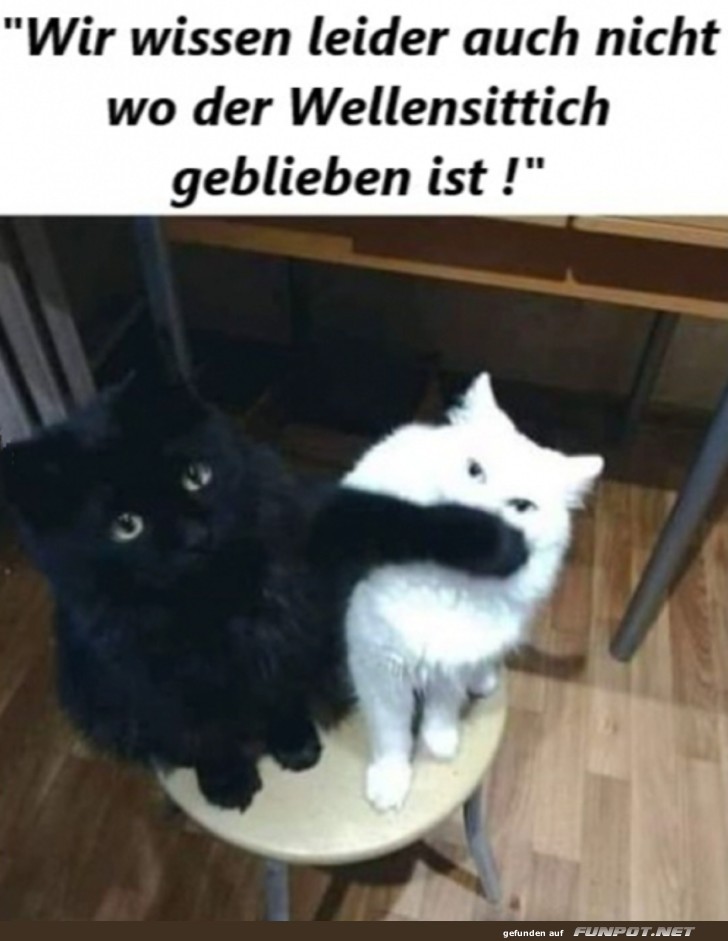 Wir wissen das auch nicht