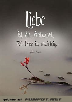 Liebe ist die Antwort