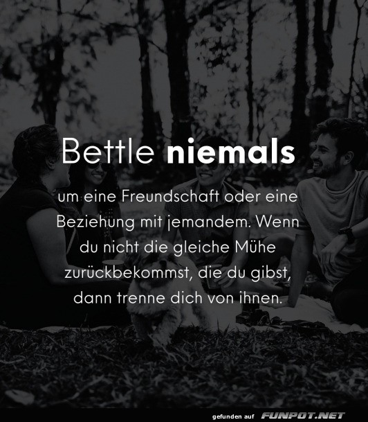 Bettle niemals um eine Freundschaft