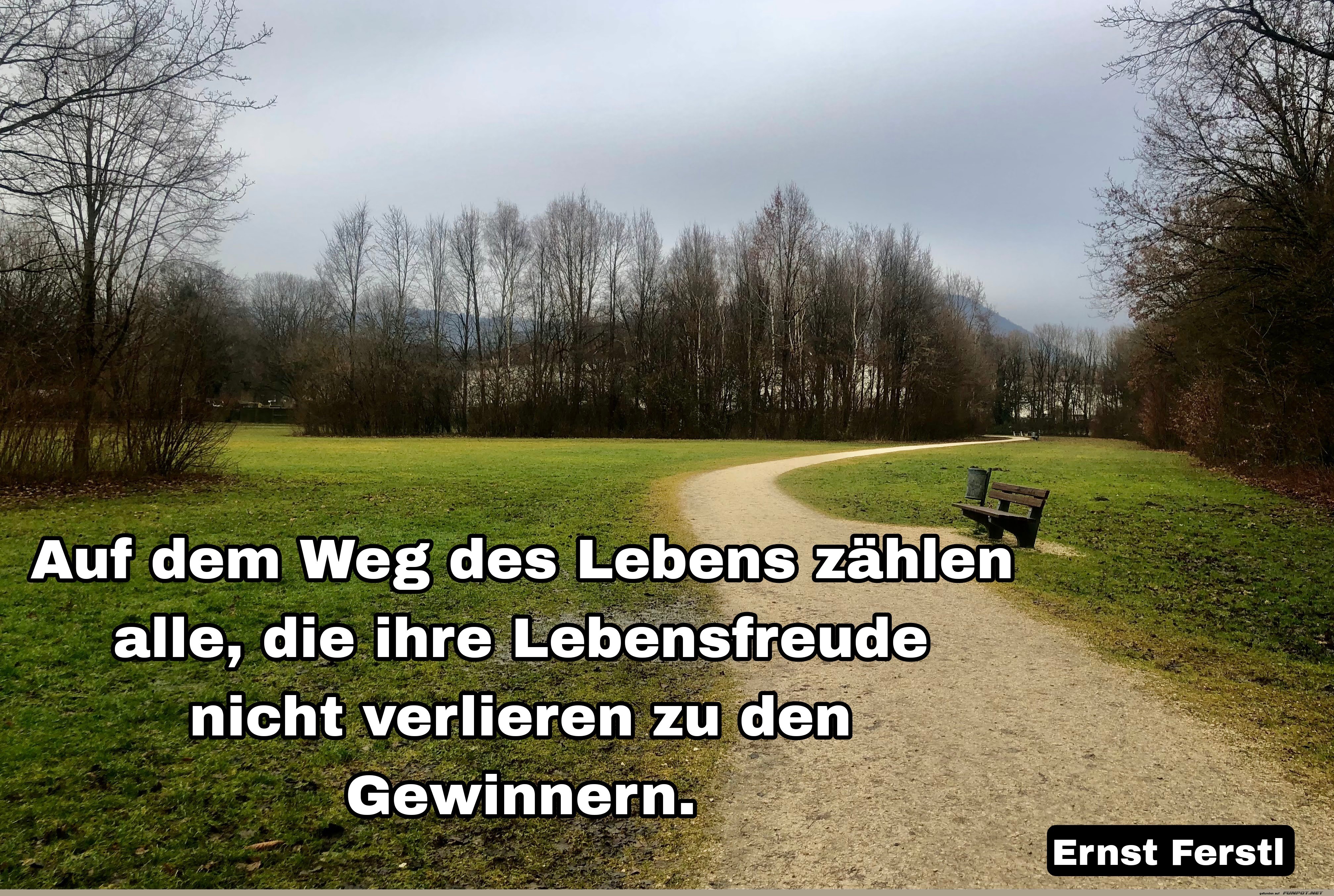 auf dem Weg des lebens