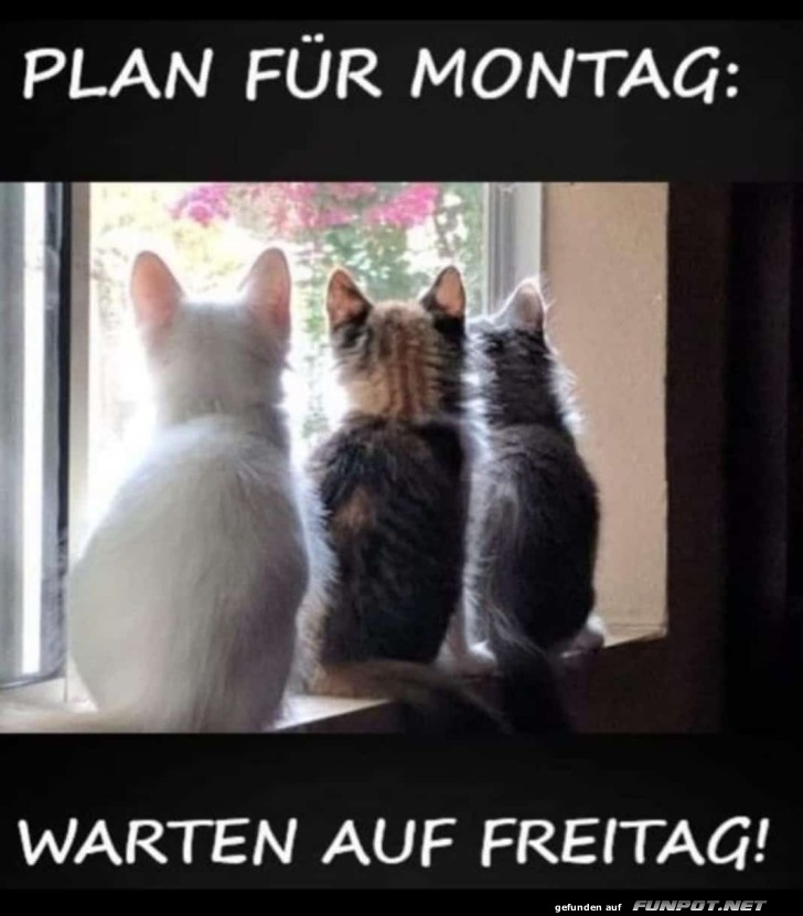 Plan fr Montag