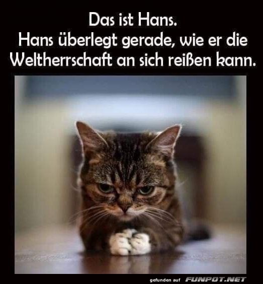 Das ist Hans