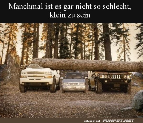 Manchmal ist es auch ein Vorteil