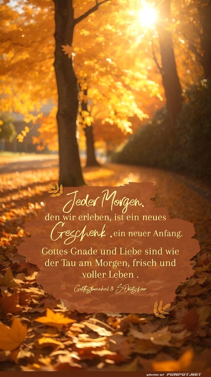 Jeder Morgen