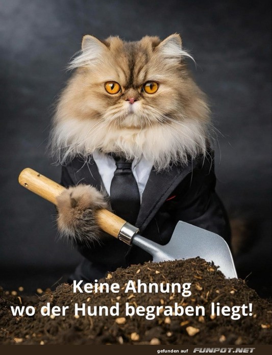 Keine Ahnung