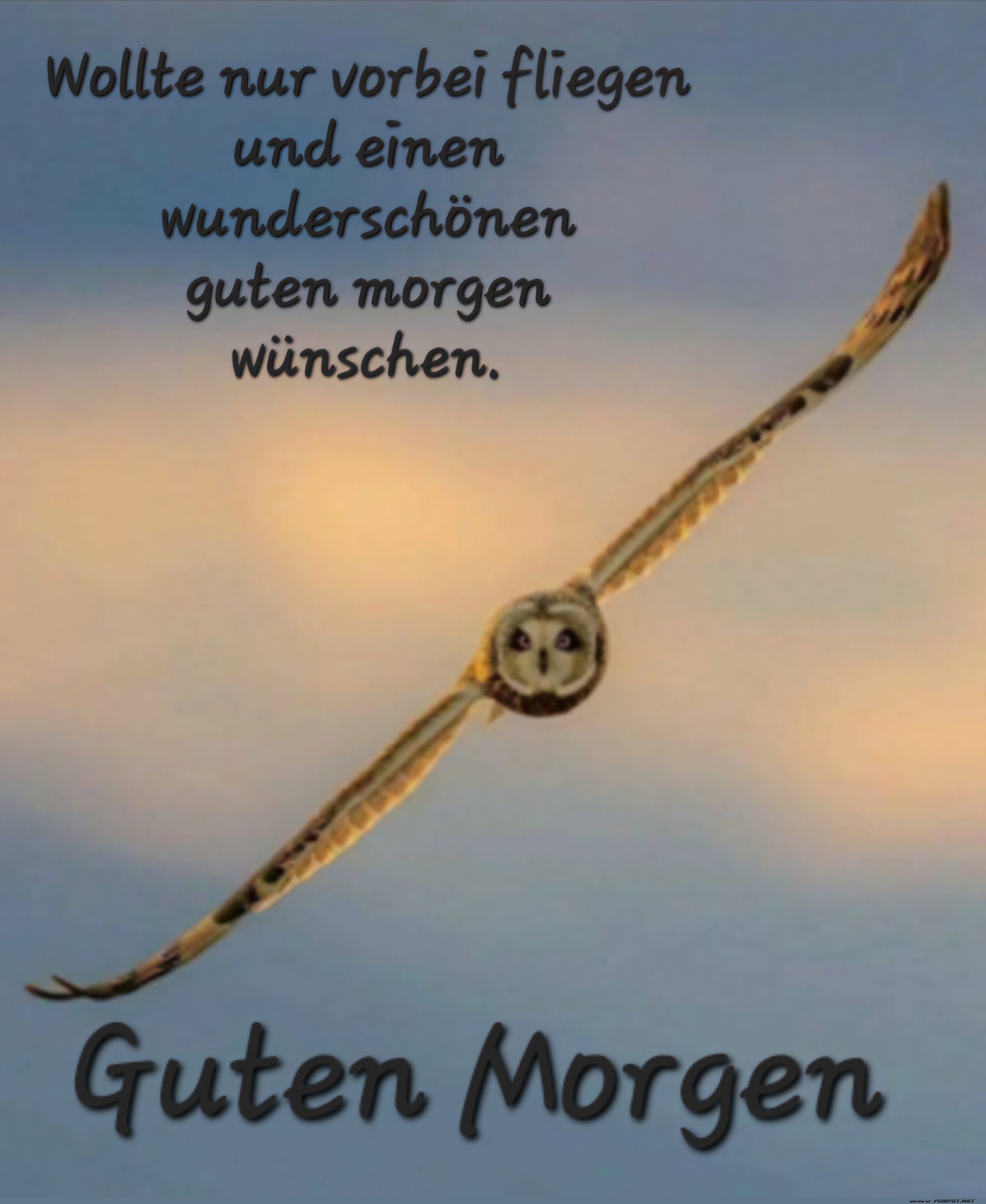 Guten Morgen