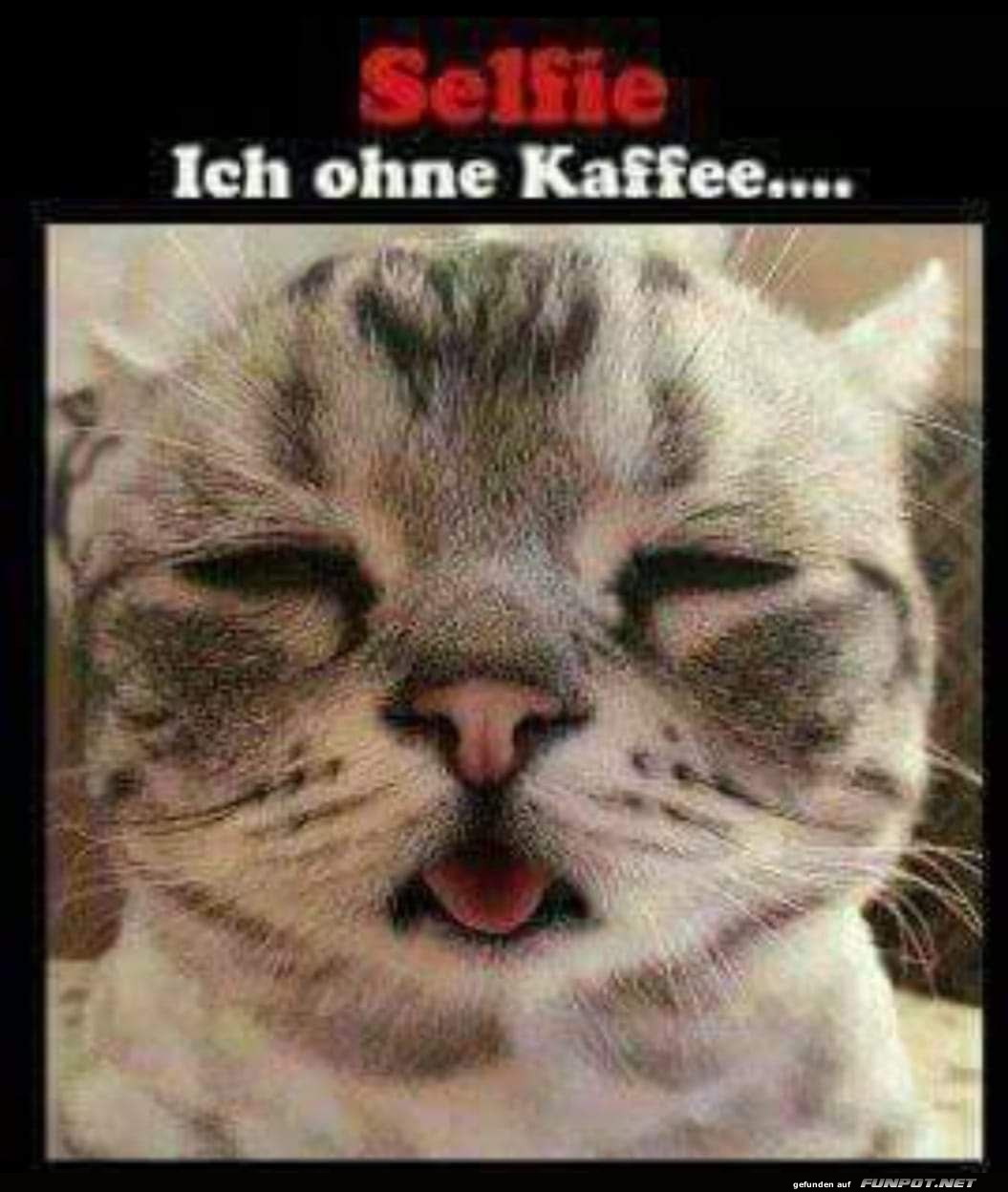 Ich ohne Kaffee