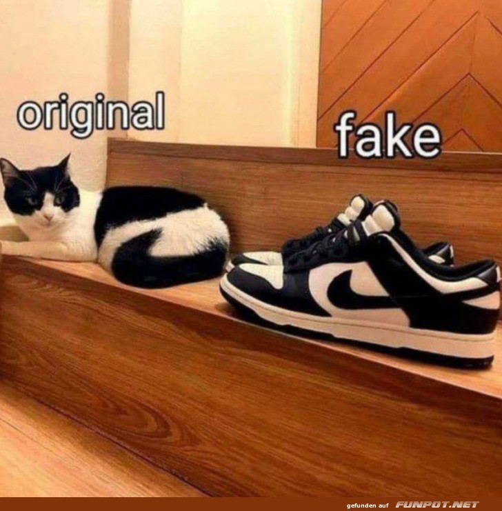 Original und Fake