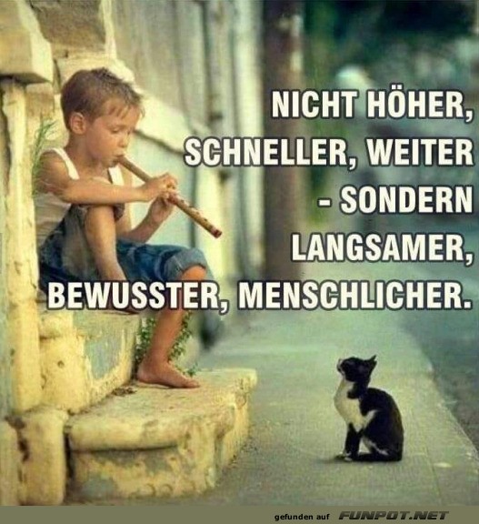 Langsamer Langsamer