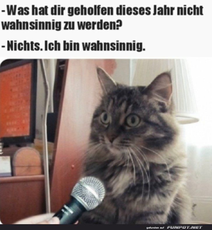 Ich bin wahnsinnig