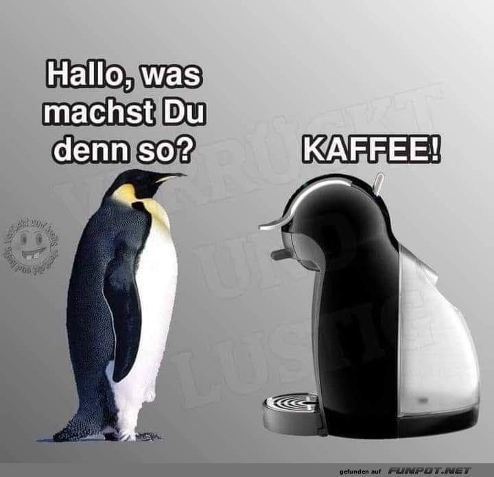 Was machst du denn so?