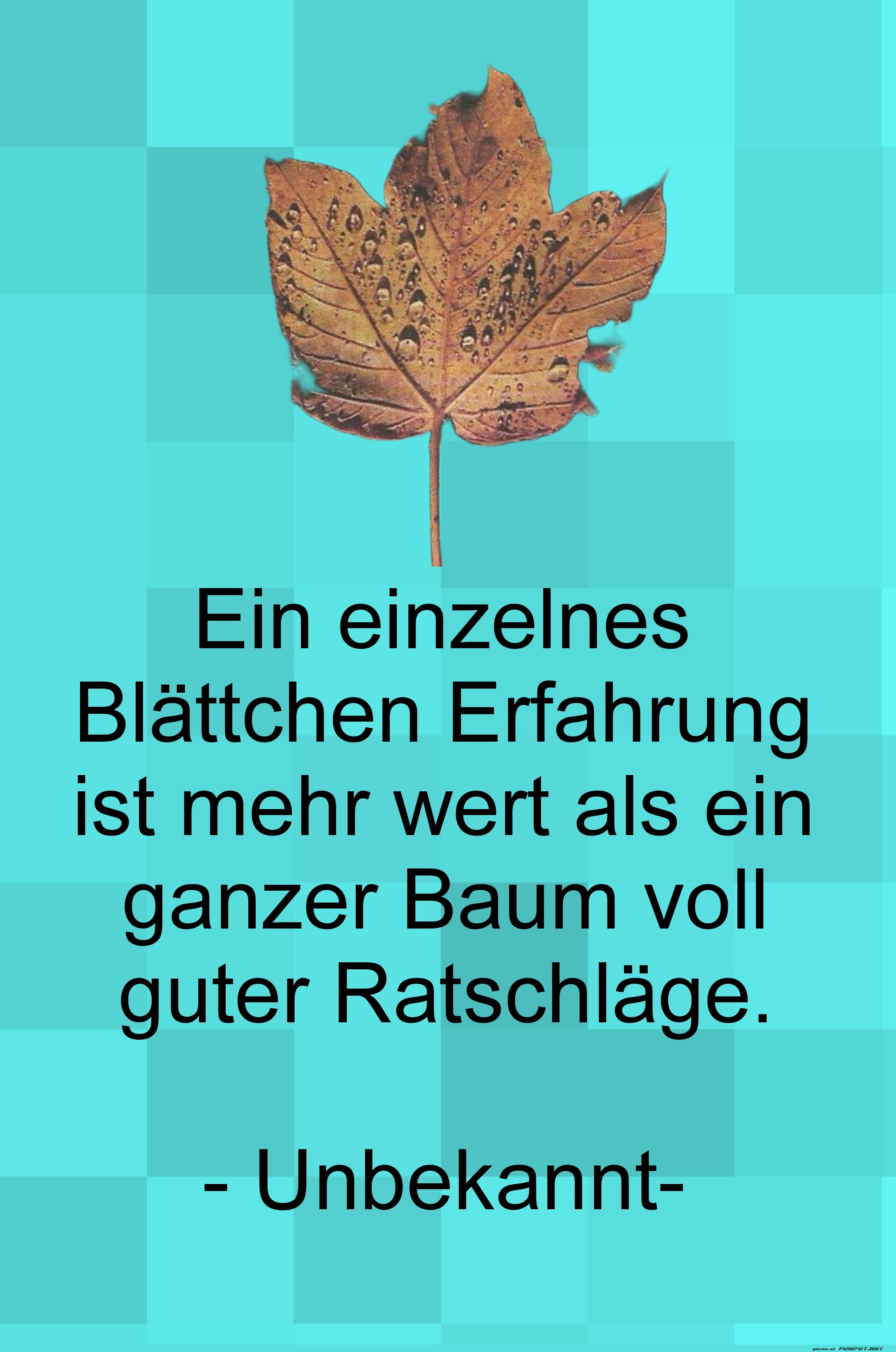 ein einzelnes blttchen